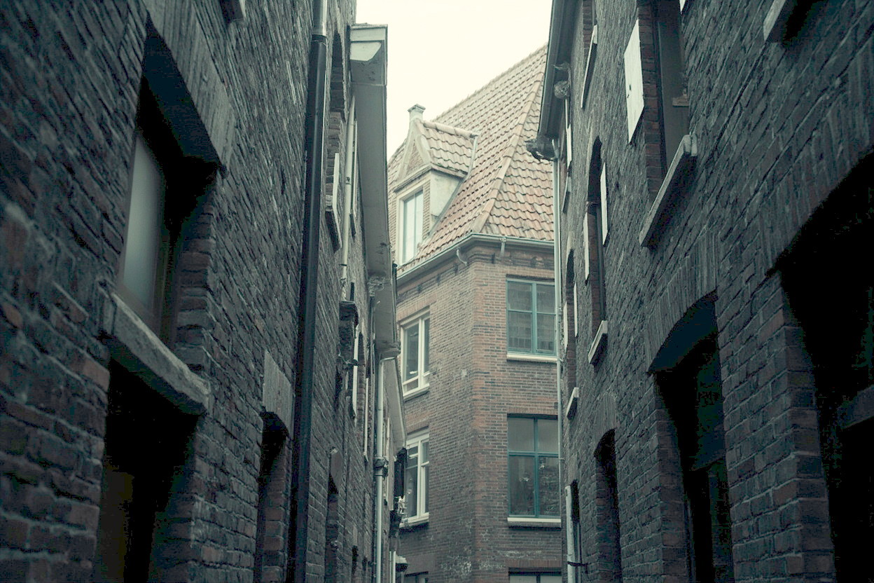 Negentiende-eeuwse kap in de Haarlemse binnenstad met gebakken pannen en een zinken bakgoot